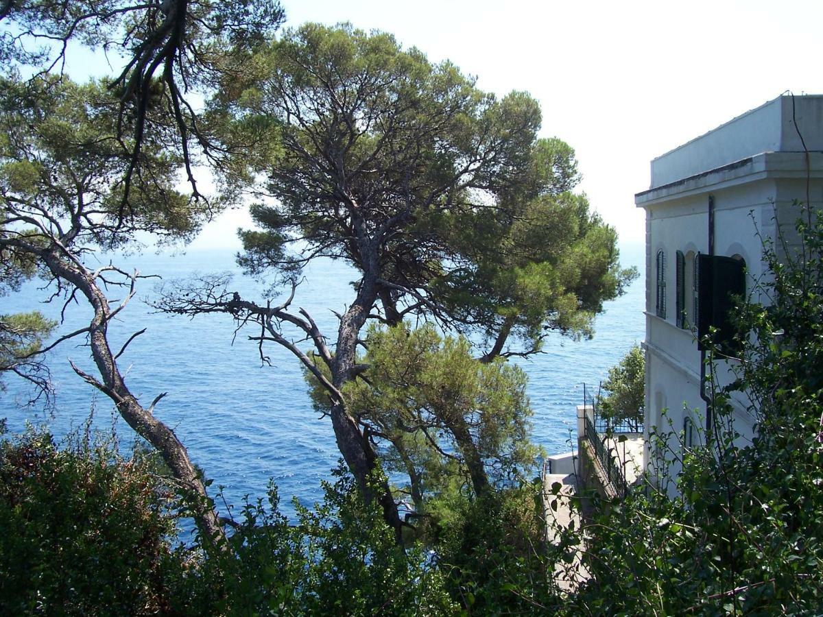Sun'S Homes "Red" Portofino Eksteriør billede